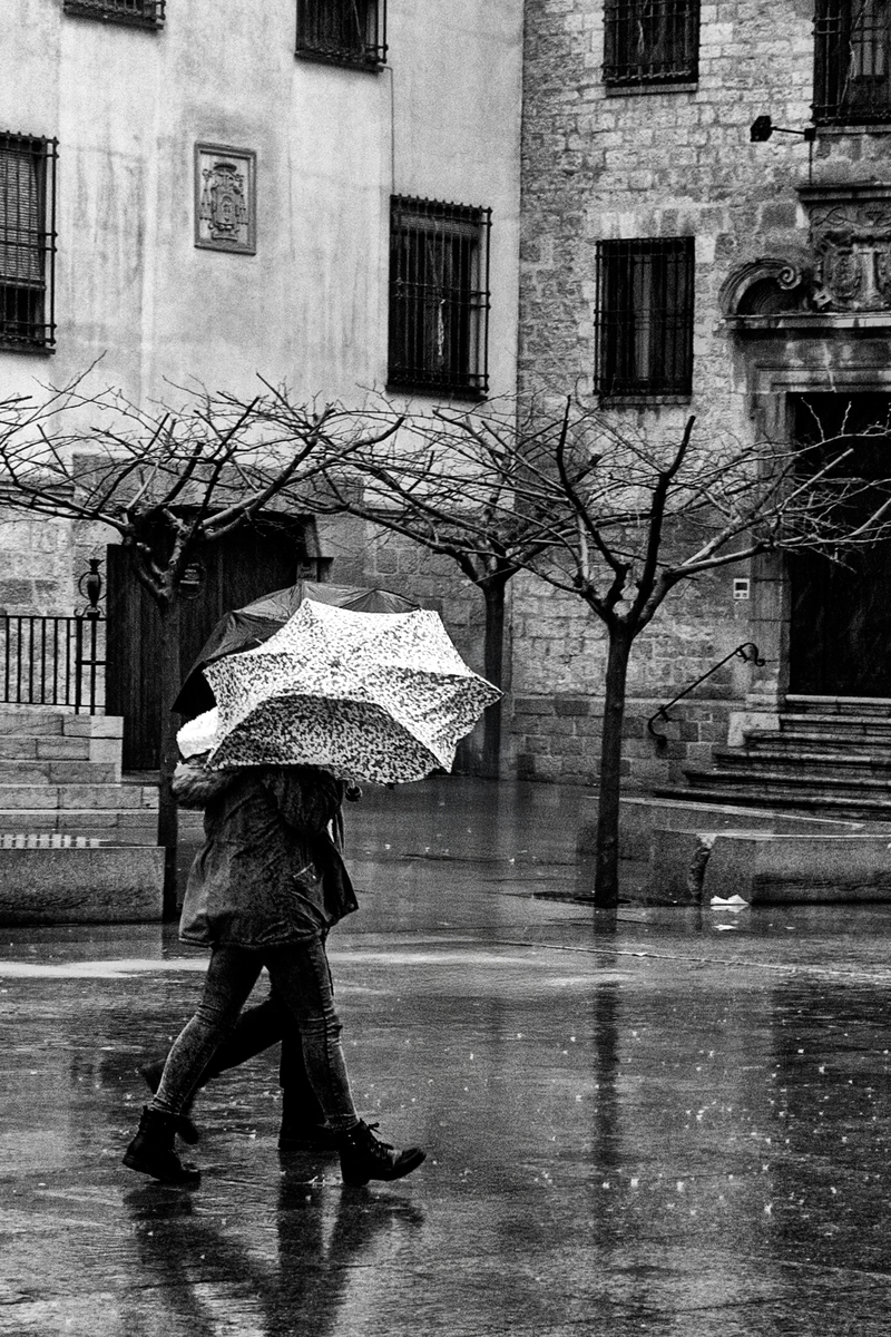 2025. FEBRERO. TEMA: 